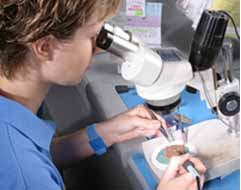 Hearing aid repair services